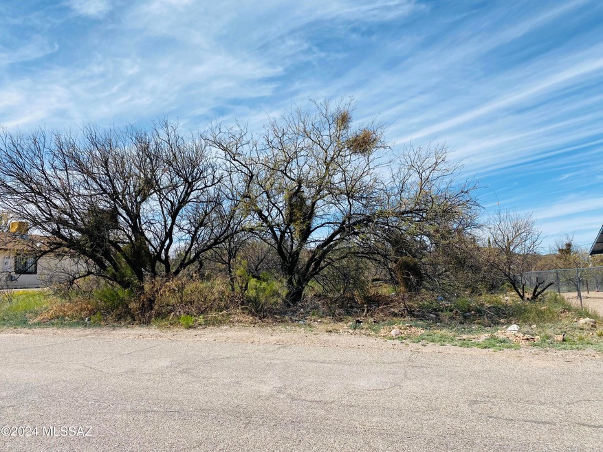 1256 Calle Picogordo unit 33, Rio Rico, AZ 85648 - photo 1