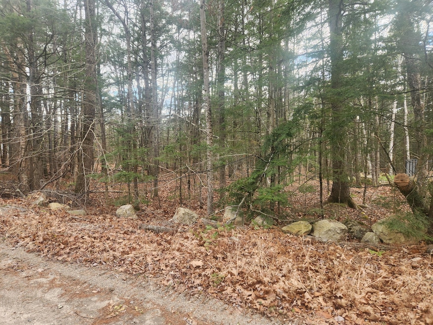 Lot 288 King Hill Rd, Lake Arrowhead, ME 04048 - photo 1