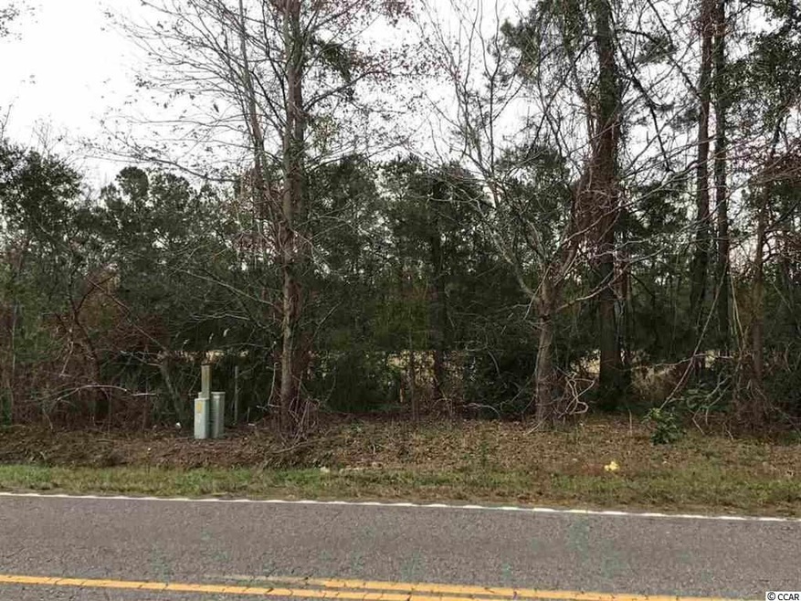 2 S Carolina 66, Conway, SC 29526 - photo 1