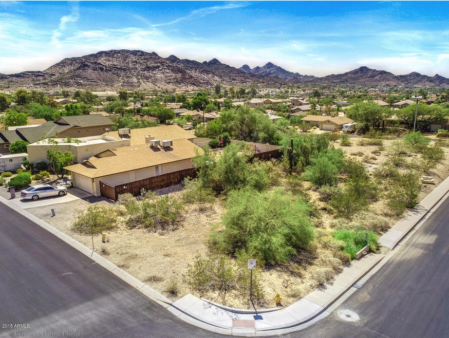 Cholla Aerial