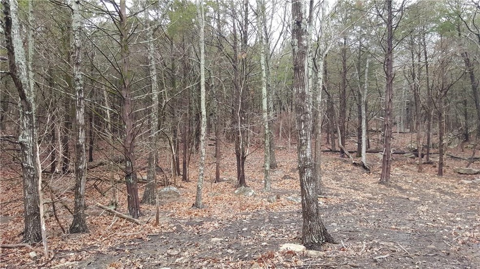0 Willoughby Lot B Rd unit 1011775, Fayetteville, AR 72701 - photo 1