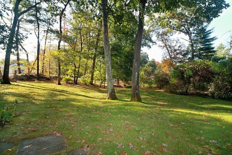 203 Country Way, Needham, MA 02492 - photo 1