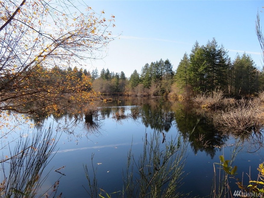 0 Wayne Rd W, Seabeck, WA 98380 - photo 1