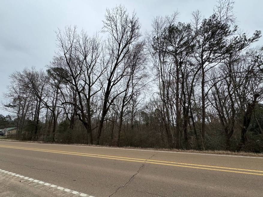 731 Middleton Rd, Winona, MS 38967 - photo 1