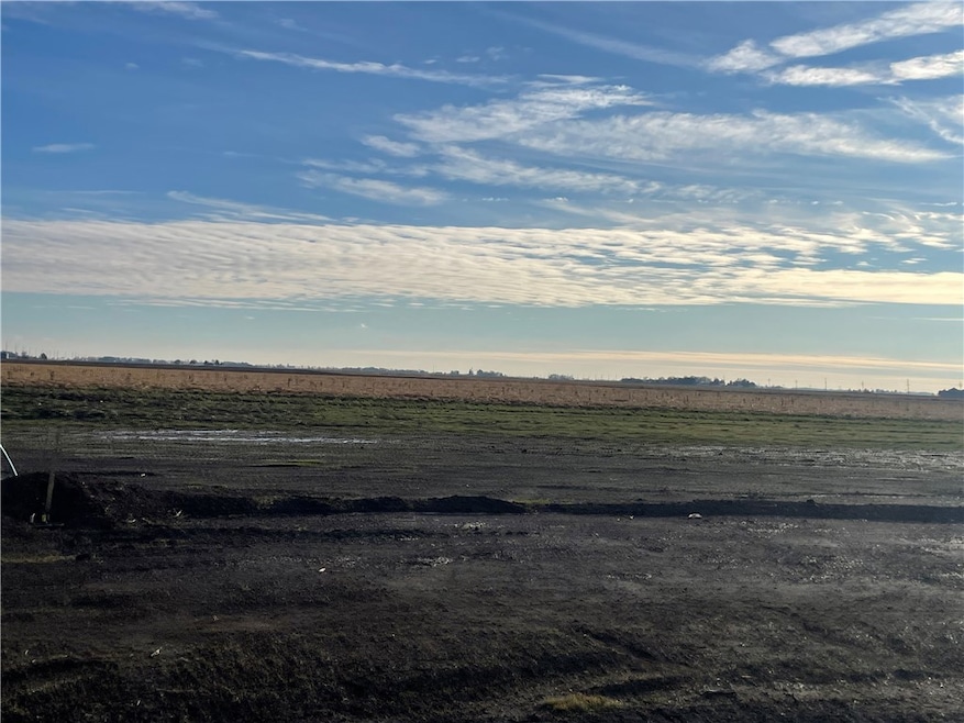 Lot 14 Baxmeyer Ln, Assumption, IL 62510 - photo 1