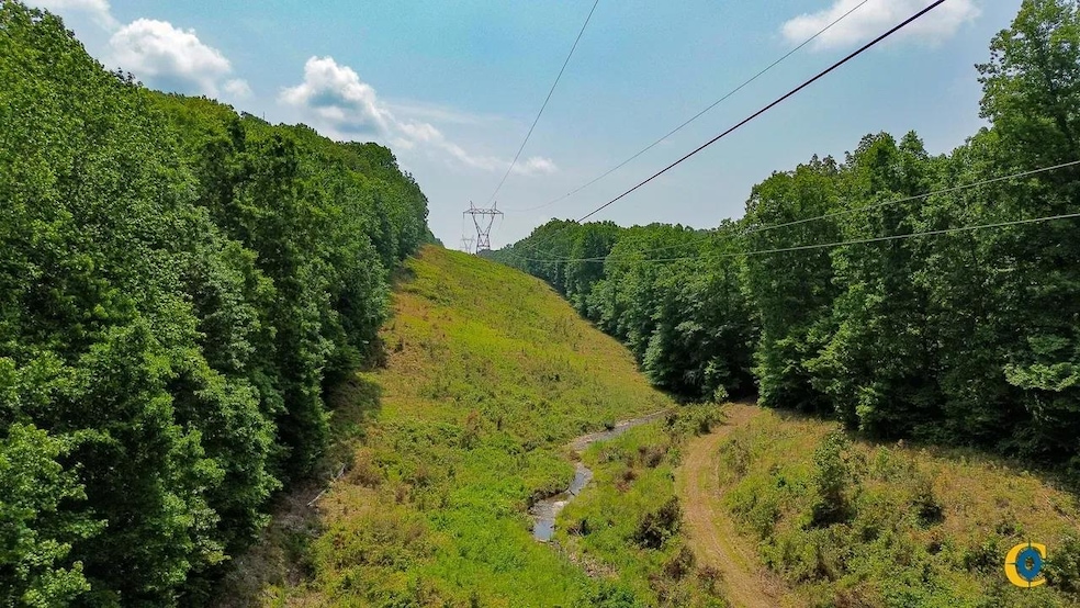 0 Catheys Creek Rd unit 25510509, Hampshire, TN 38461 - photo 1