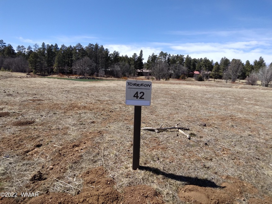 Lakes 2 Lot # 42