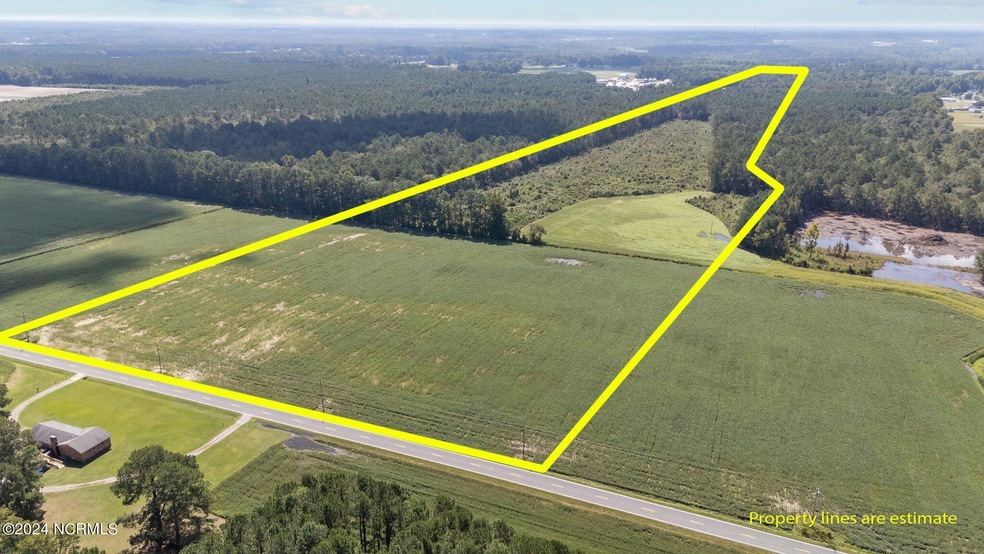 2835 Pikeville-Princeton Rd, Pikeville, NC 27863 - photo 1