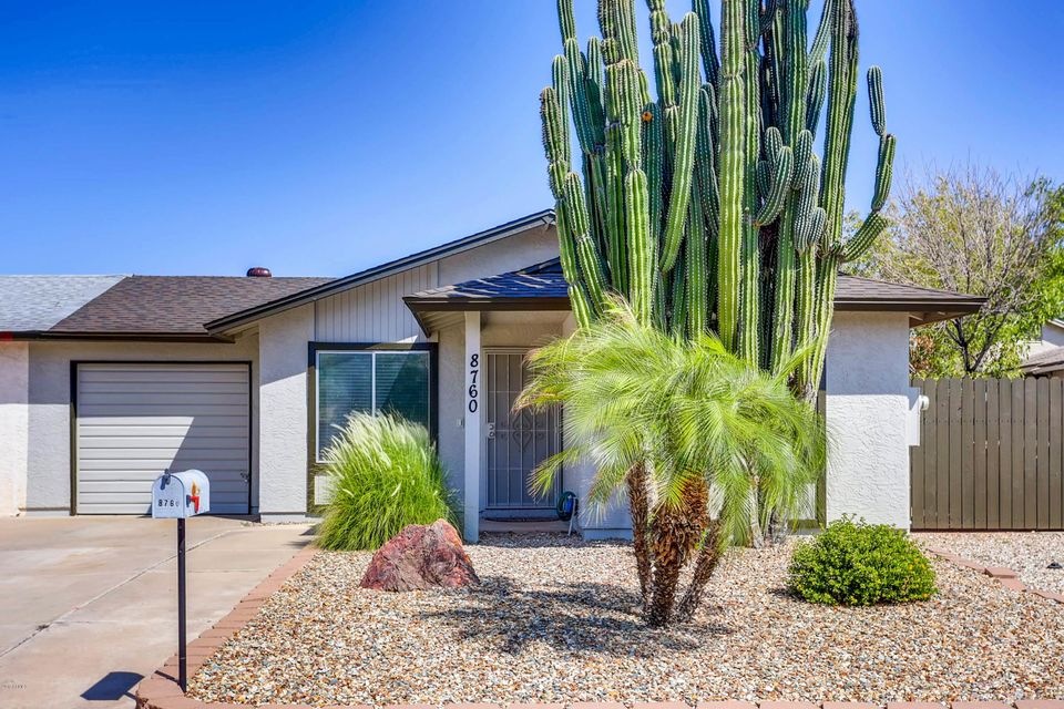 Desert Landscaping