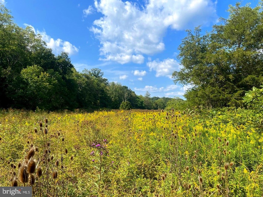 0 Jc Markwood Rd unit WVHD2001136, Old Fields, WV 26845 - photo 1