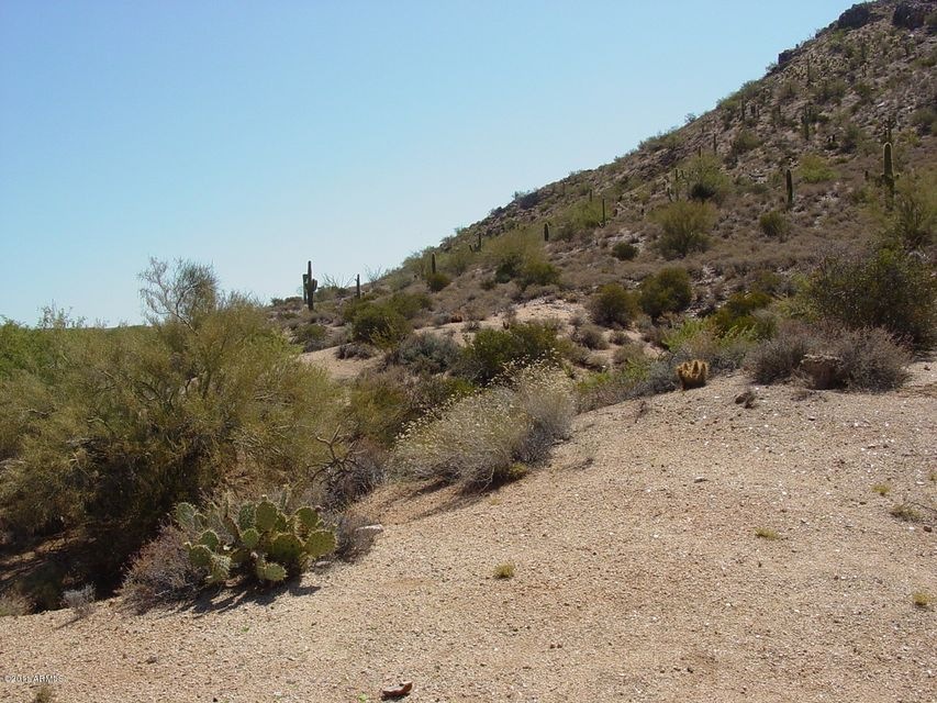 Hillside Lot