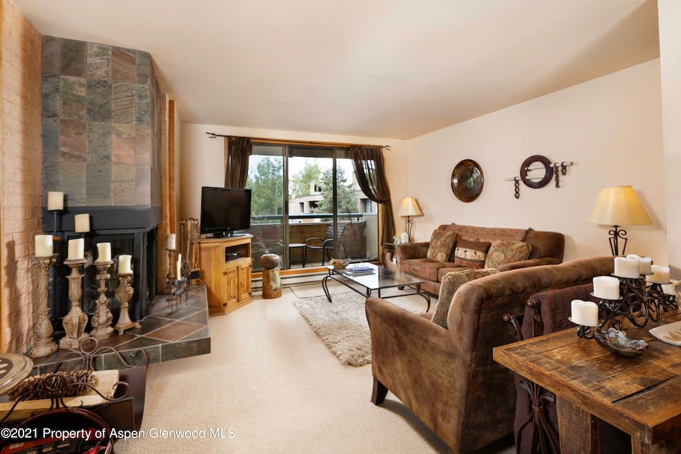 1028 E Hopkins Ave unit 24, Aspen, CO 81611 - photo 1