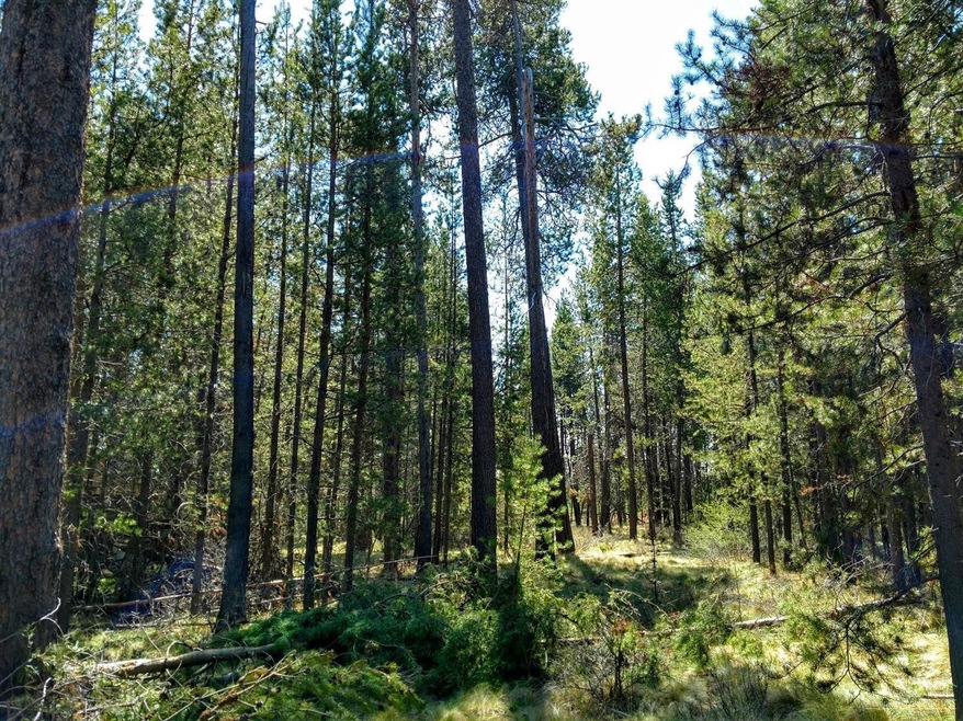17305 Scaup Dr, Bend, OR 97707 - photo 1
