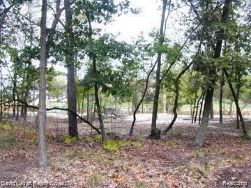 9797WhisperingPines.jpg