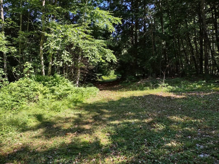 55 Mine Rd unit 17-1-1, Winchester, NH 03470 - photo 1