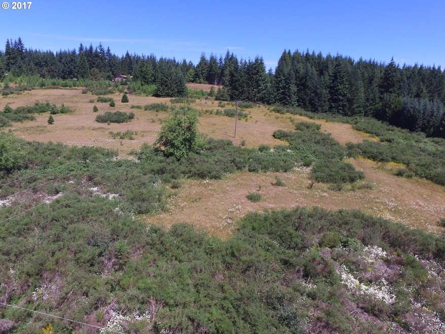 0 Mountain Springs Dr, Sheridan, OR 97378 - photo 1