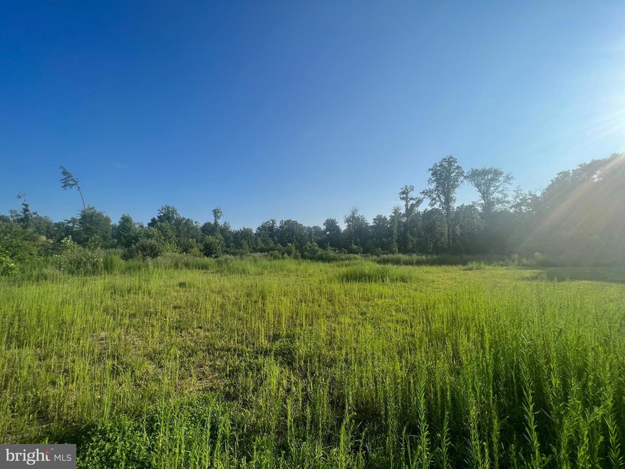 0 Willow Grove Rd, Camden, DE 19934 - photo 1