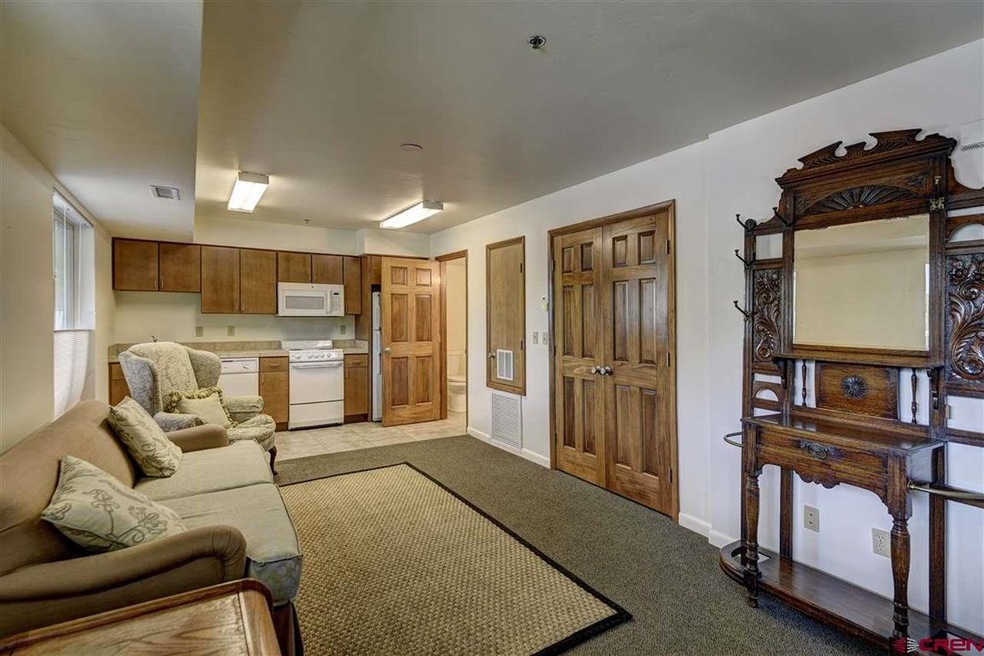 315 E 8th Ave unit 2, Durango, CO 81301 - photo 1
