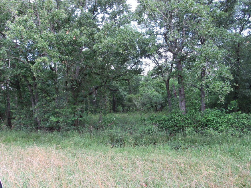 30090 Joseph Rd, Hockley, TX 77447 - photo 1