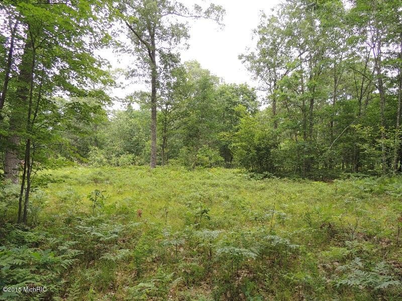 no # 14 Mile Rd, Bitely, MI 49309 - photo 1