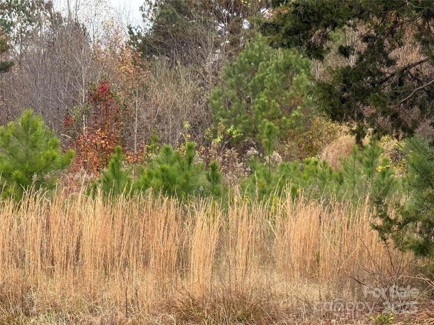 13315-1 Ramah Church Rd, Huntersville, NC 28078 - photo 1