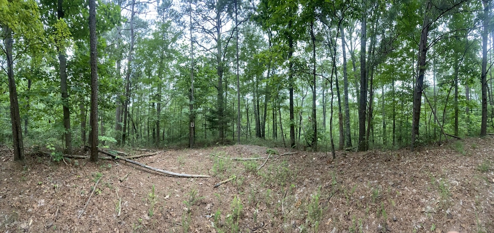 741 Forge Ct, Ranger, GA 30734 - photo 1