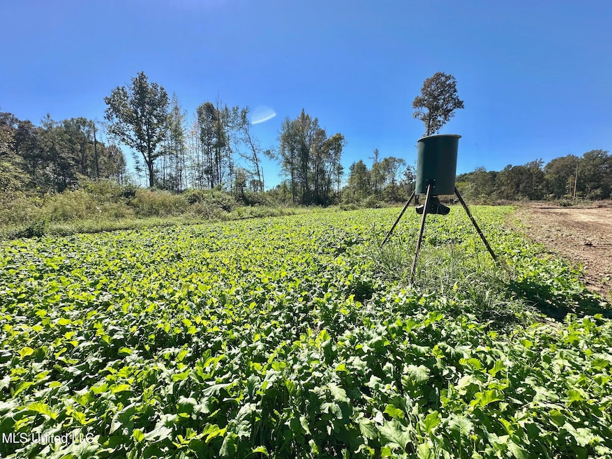 1008 Pleasant Ln, Wesson, MS 39191 - photo 1