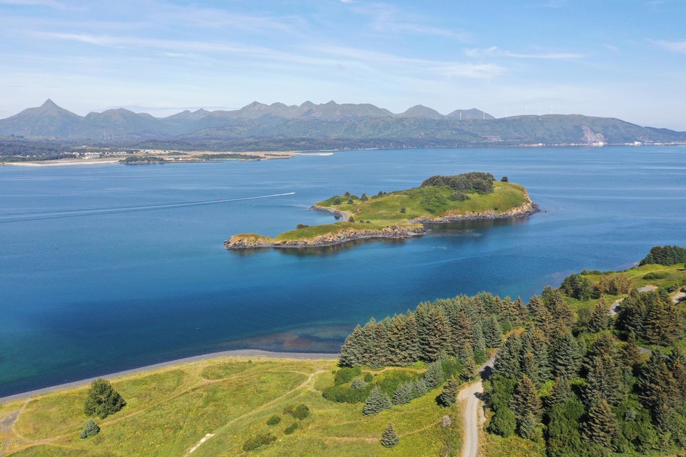 L9 Beaches - Cliff Point Estates, Kodiak, AK 99615 - photo 1