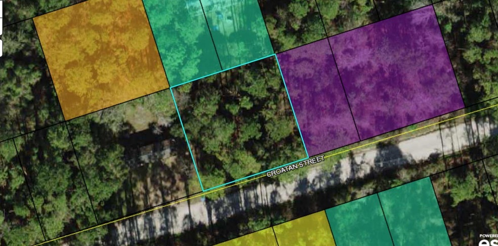 0 Croatan St Lot 6 St unit 342370, Crawfordville, FL 32327 - photo 1