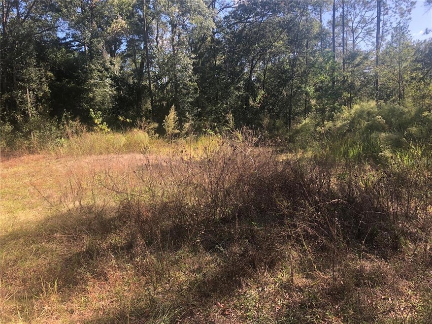 9183 SW 193rd Cir, Dunnellon, FL 34432 - photo 1