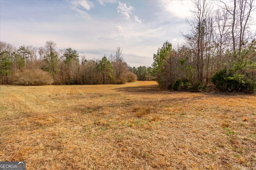 0 Mt Zion Rd unit 10469359, Waco, GA 30182 - photo 1