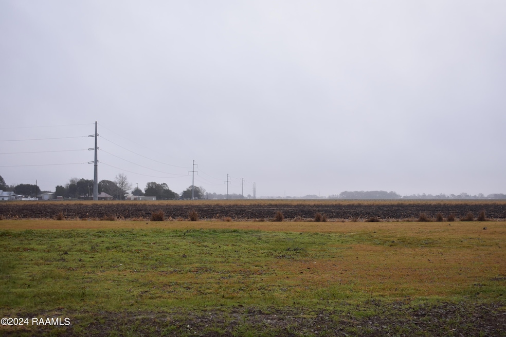 Tbd Coulee Rd unit Lot 33, New Iberia, LA 70560 - photo 1
