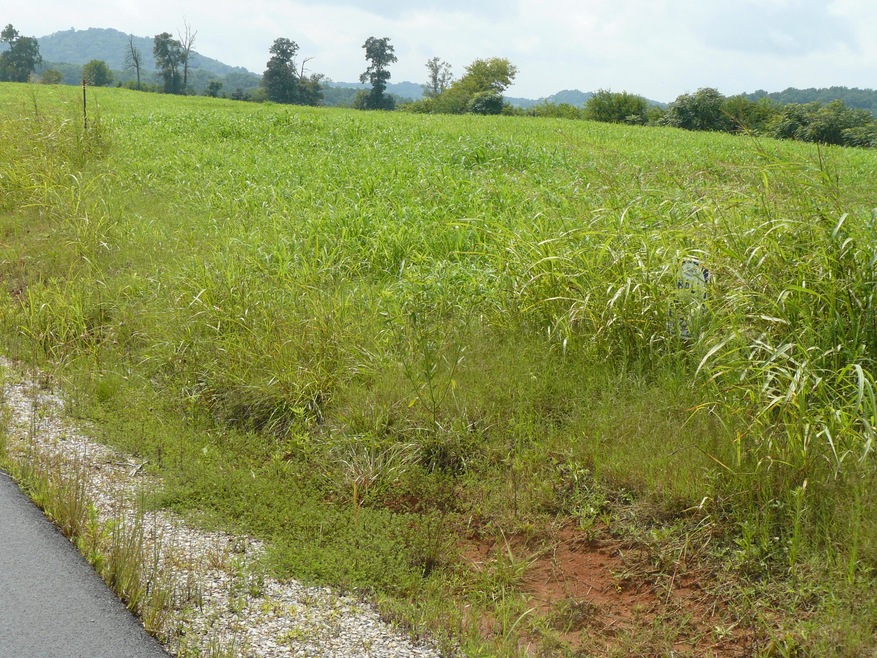 Lot 6 Lookout Dr, Rutledge, TN 37861 - photo 1