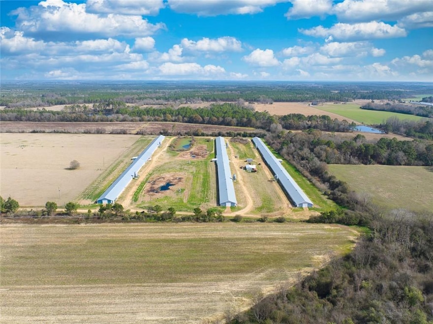 Drone / aerial view featuring a rural view