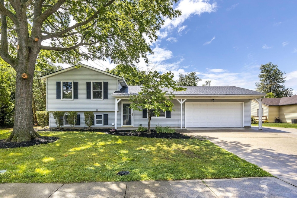 2025-6-19 314 Willow Run Ln 005