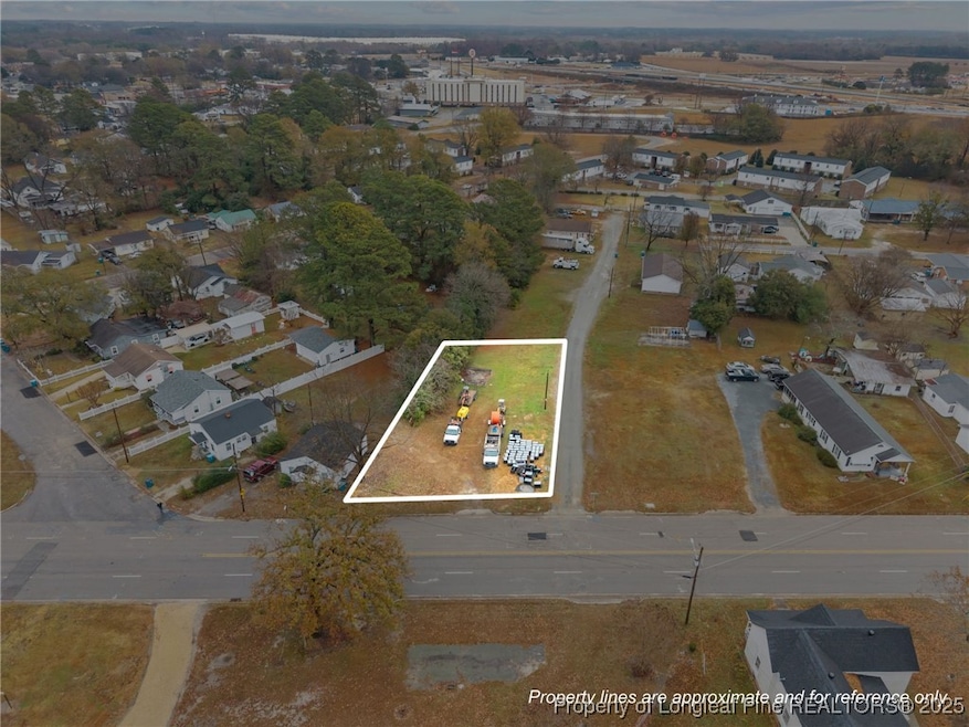 123 & 125 Spring Branch Rd, Dunn, NC 28334 - photo 1