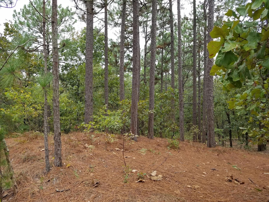 Wooded lot