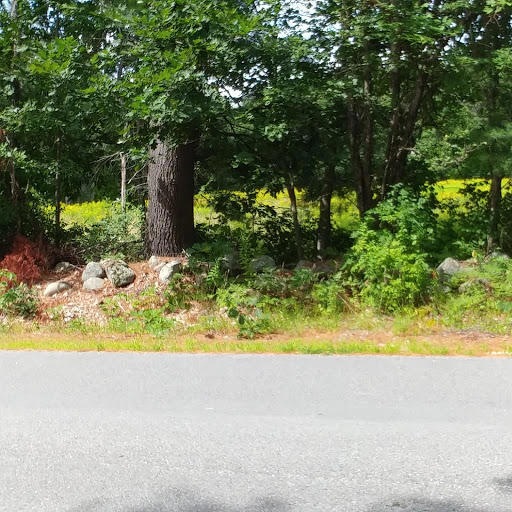 Road View 1