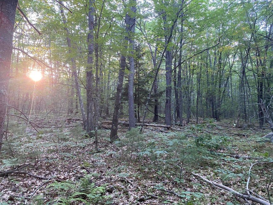 lots A & B Bald Hill Rd, Wells, ME 04090 - photo 1