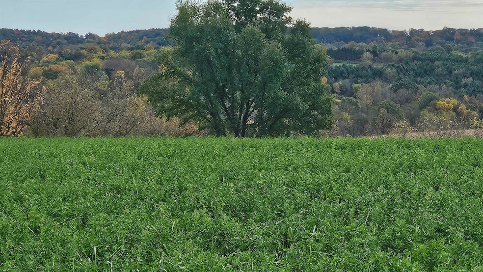 5 acres Lavalle Rd, La Valle, WI 53941 - photo 1