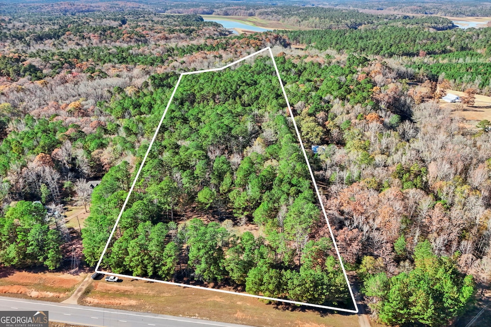 11.62+/- AC New Franklin Rd, Hogansville, GA 30230 - photo 1