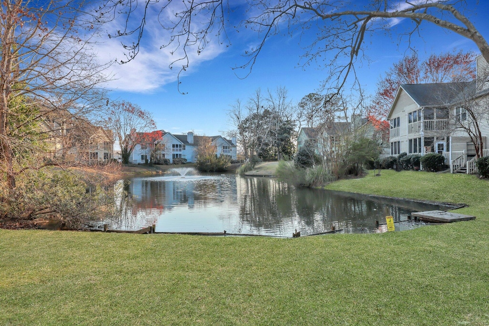 Pond view 2