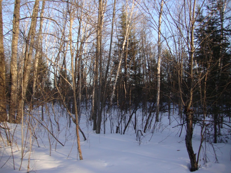West Shore Trail