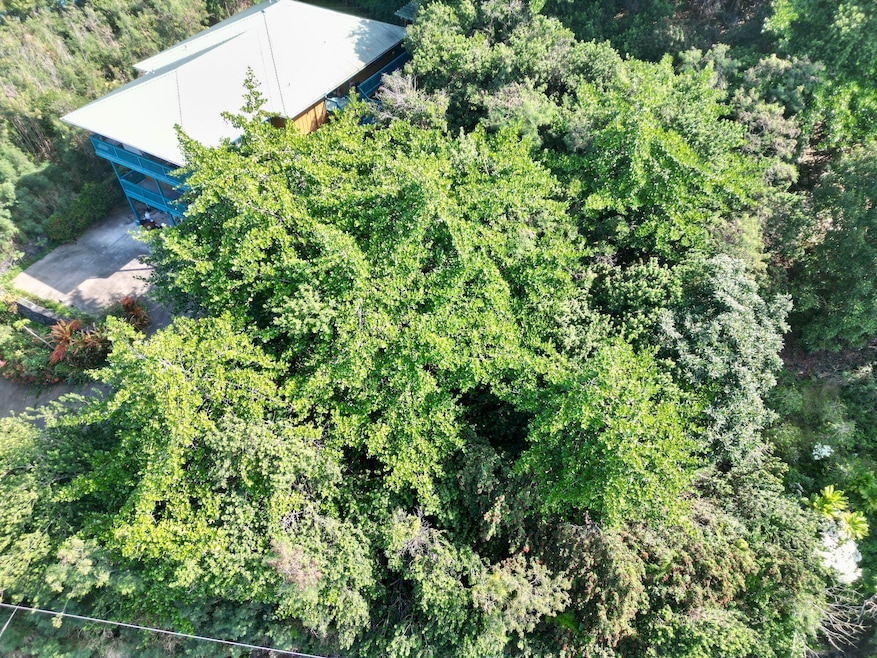 0 Kaohe Rd unit Lot 12, Captain Cook, HI 96704 - photo 1