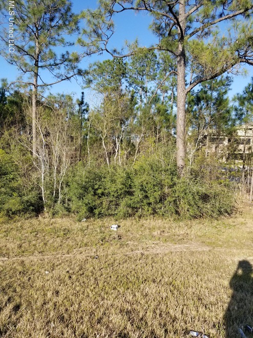 HWY 57 VIEW