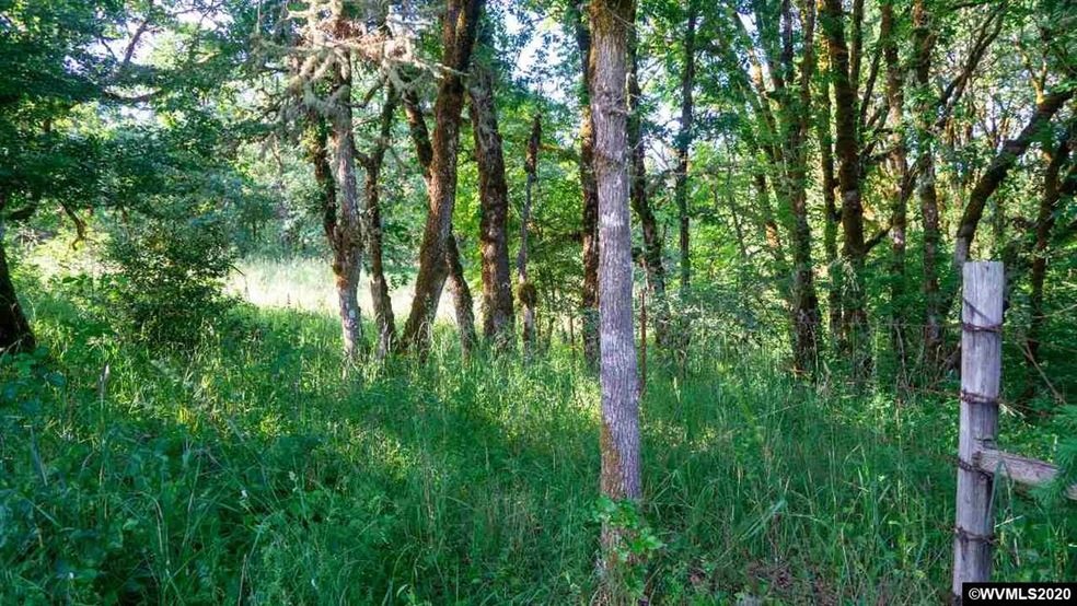 0 Baker Creek (Parcel #473776) Rd unit 766110, McMinnville, OR 97128 - photo 1