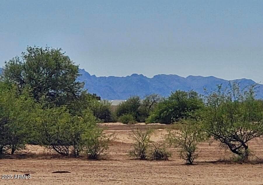 Rillito