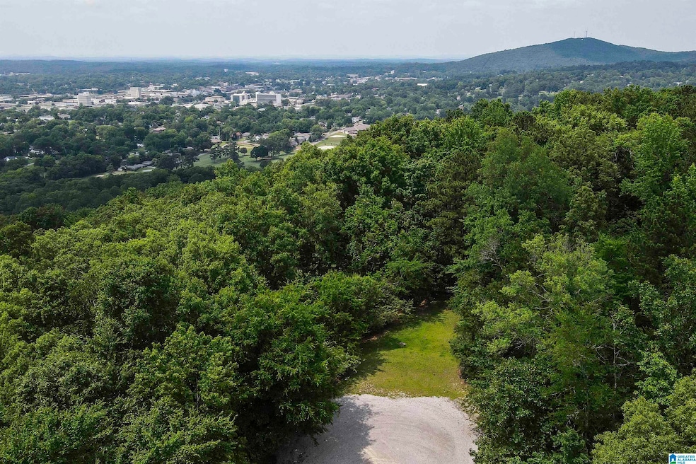 0 Rebecca Trail unit 6.07 ac 21420735, Anniston, AL 36207 - photo 1