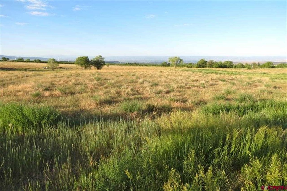 0 NW Sage Ave unit 690849, Cedaredge, CO 81413 - photo 1