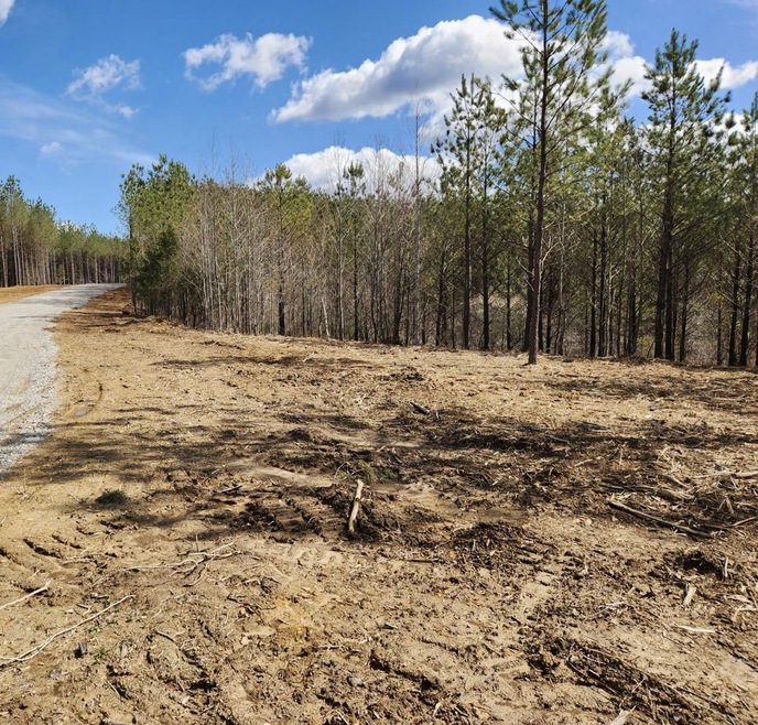 231 Pioneer Dr, Linden, TN 37096 - photo 1